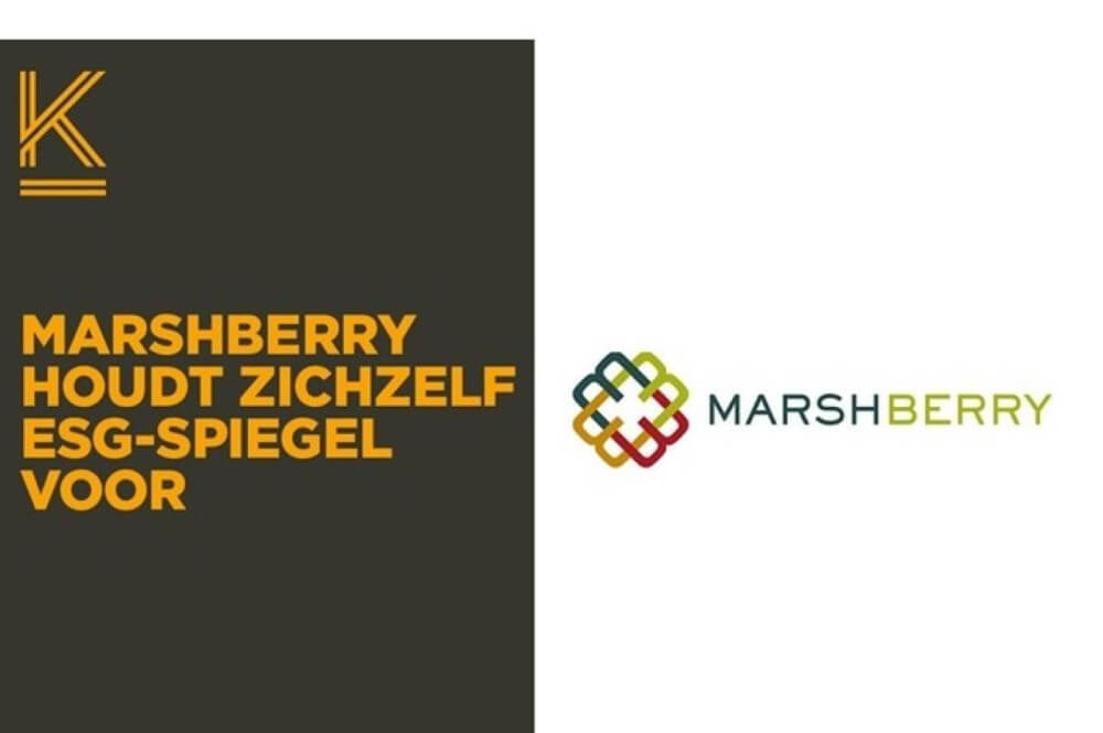 marshberry_1.jpeg